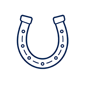 Horseshoe icon