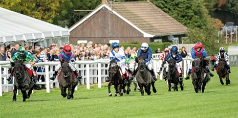 The Shetland Pony race